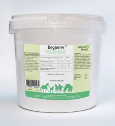 {{brizy_dc_image_alt entityId=